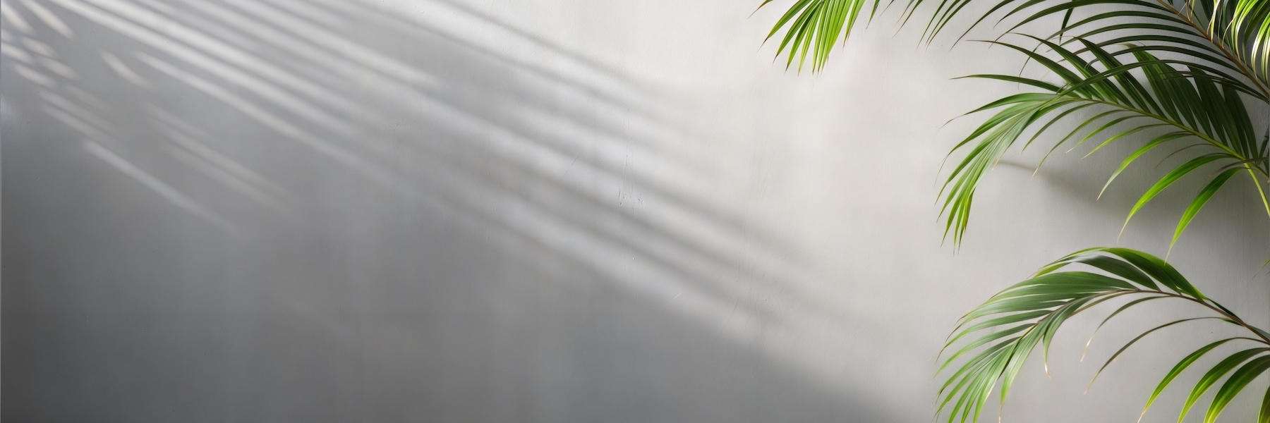 Composite Fillings | Dentist