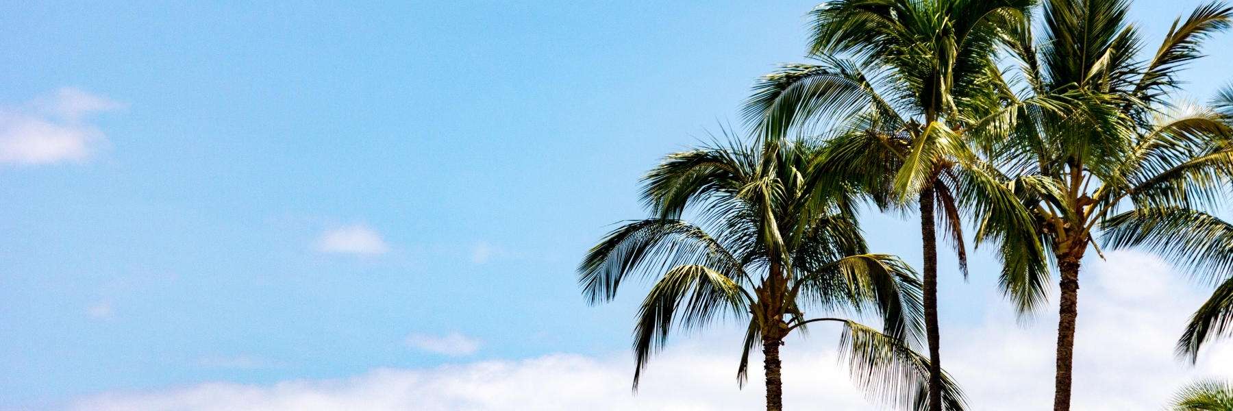 Preventive Dentistry | Dentist